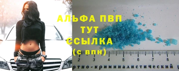 прущая мука Богданович
