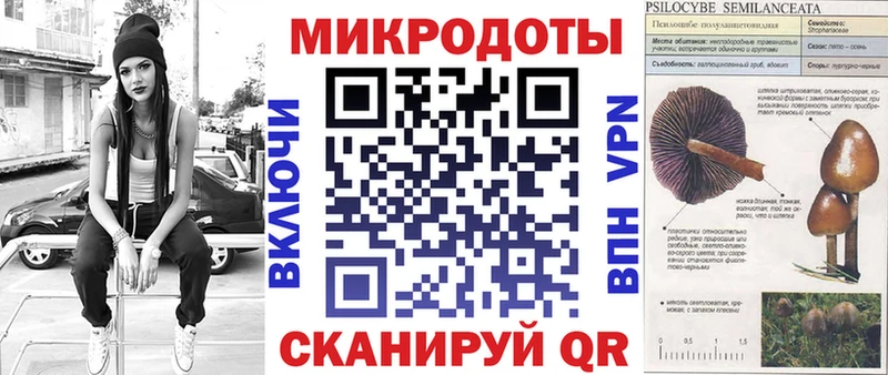 Галлюциногенные грибы Psilocybine cubensis Санкт-Петербург