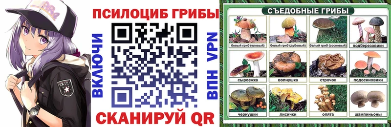 Псилоцибиновые грибы Magic Shrooms Санкт-Петербург